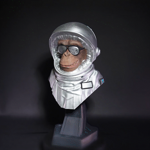 Intergalactic Monkey Crew