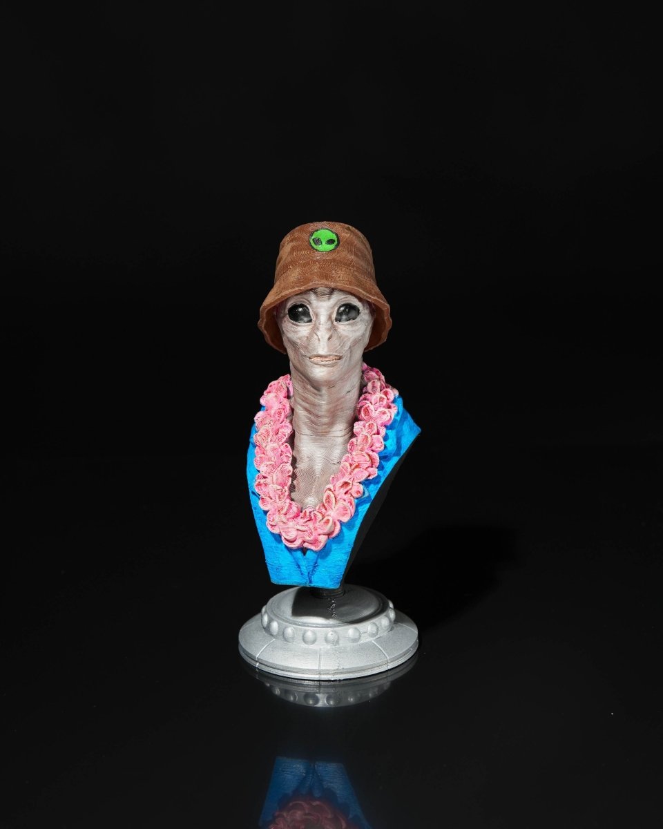 Alien Tourist Busts - The Phynagrin Show