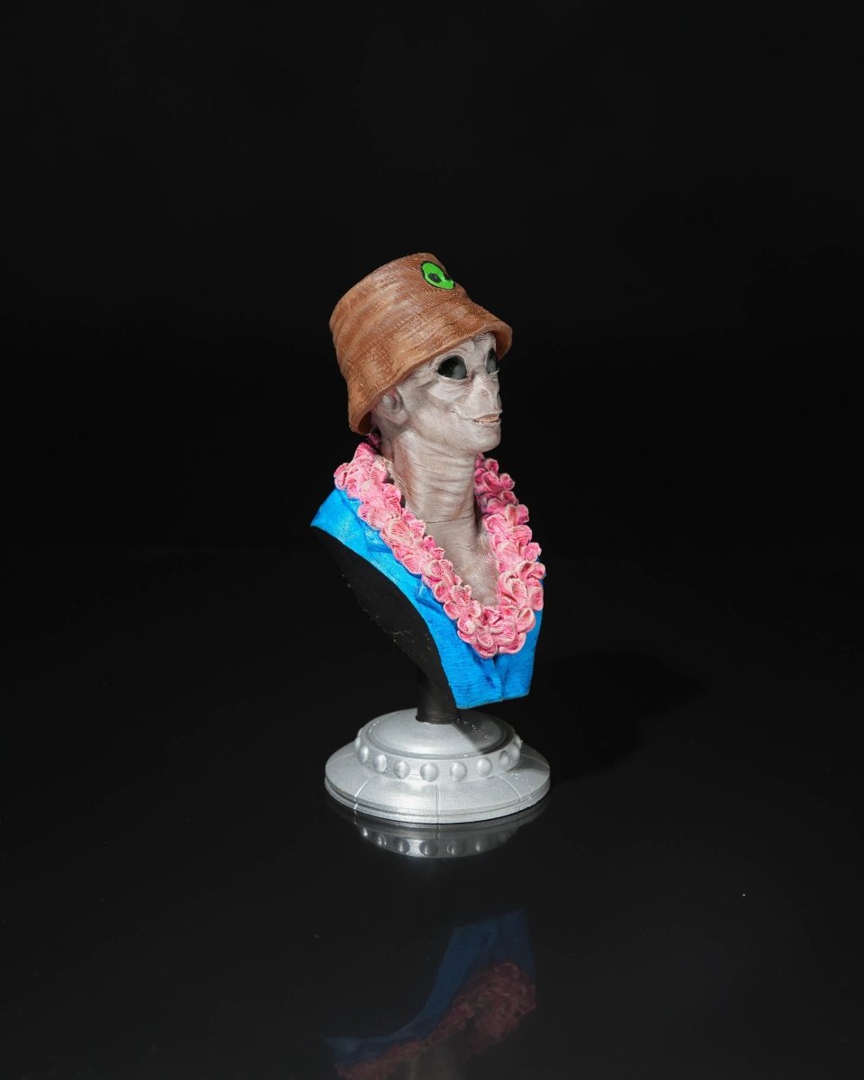 Alien Tourist Busts - The Phynagrin Show