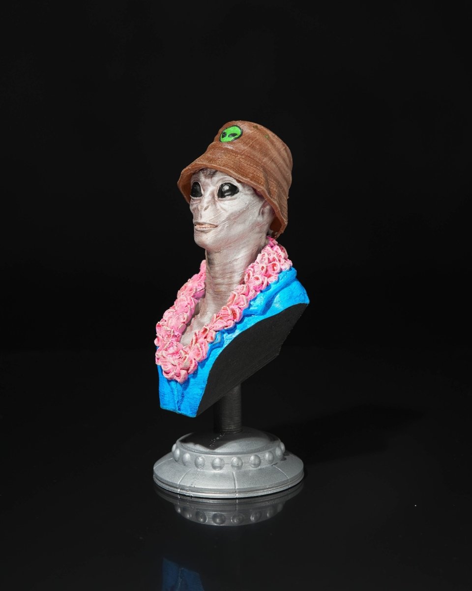 Alien Tourist Busts - The Phynagrin Show