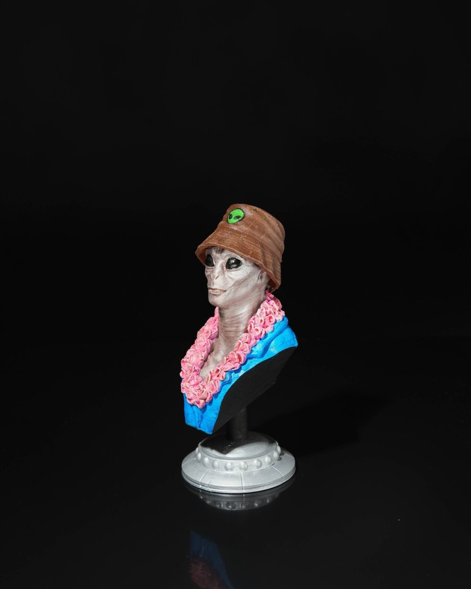 Alien Tourist Busts - The Phynagrin Show