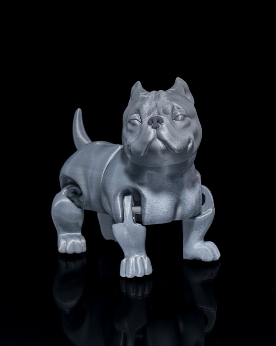 American Bully Dog - The Phynagrin Show