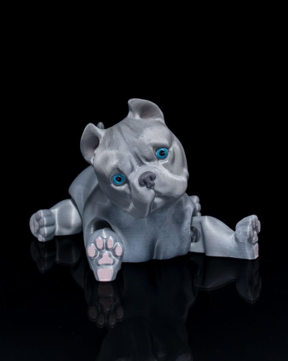 American Bully Dog - The Phynagrin Show