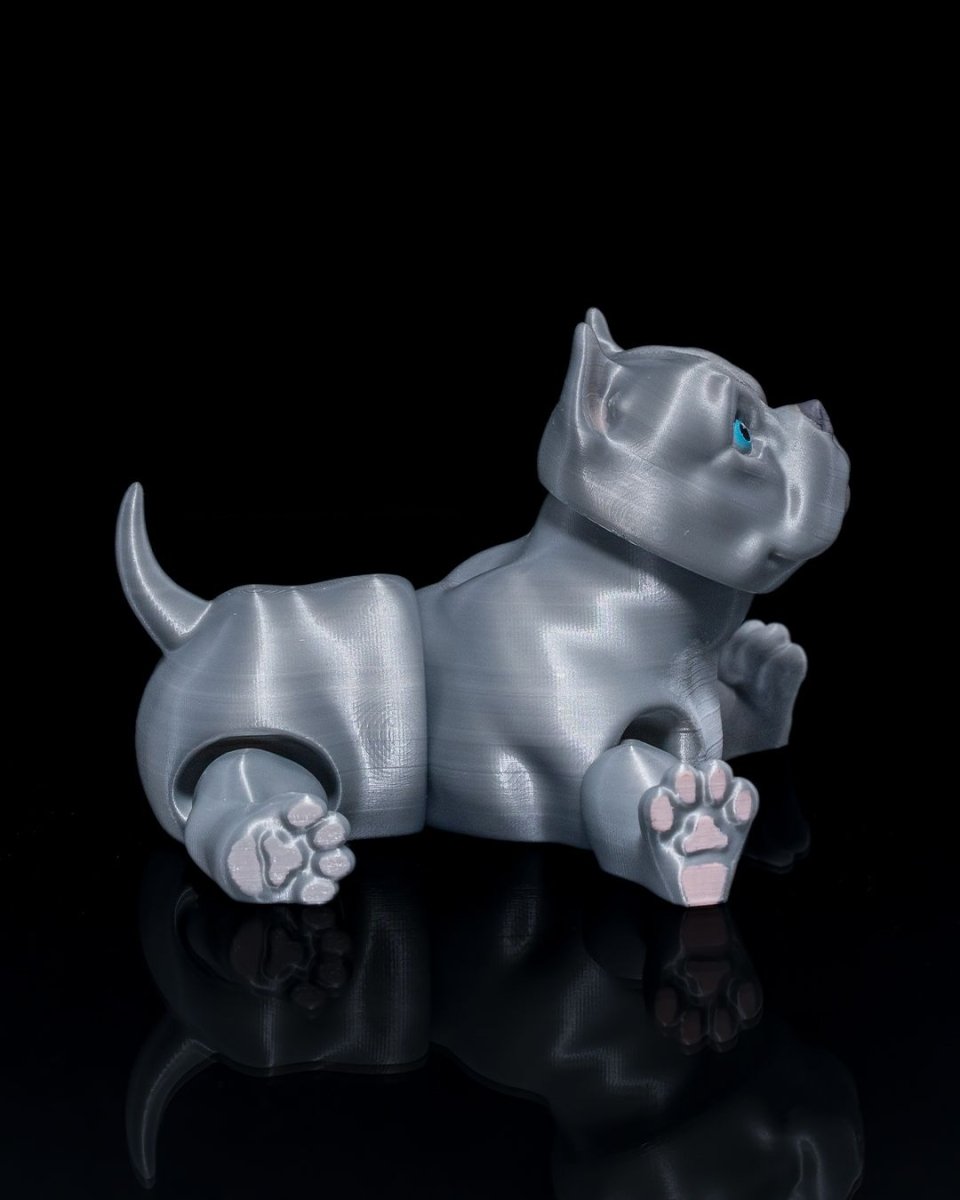 American Bully Dog - The Phynagrin Show