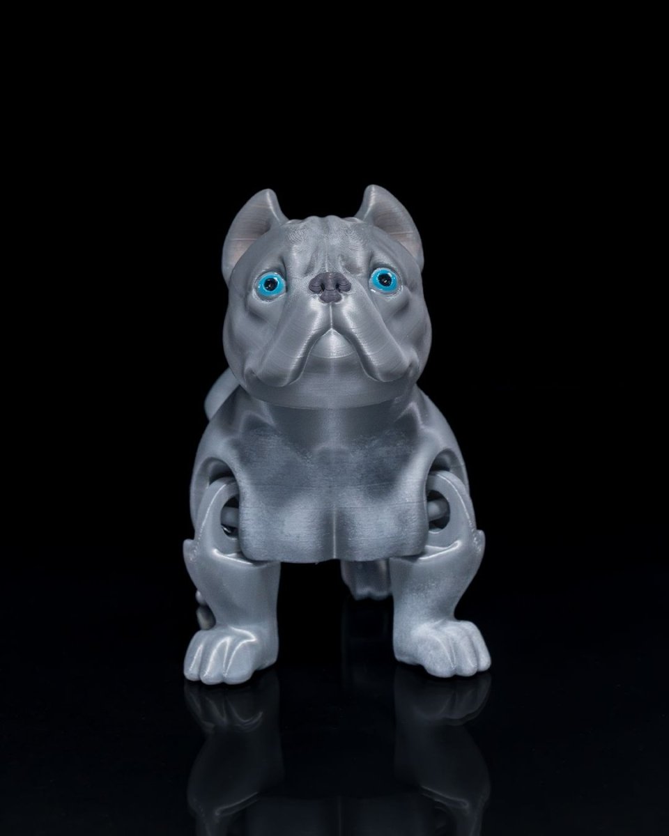 American Bully Dog - The Phynagrin Show