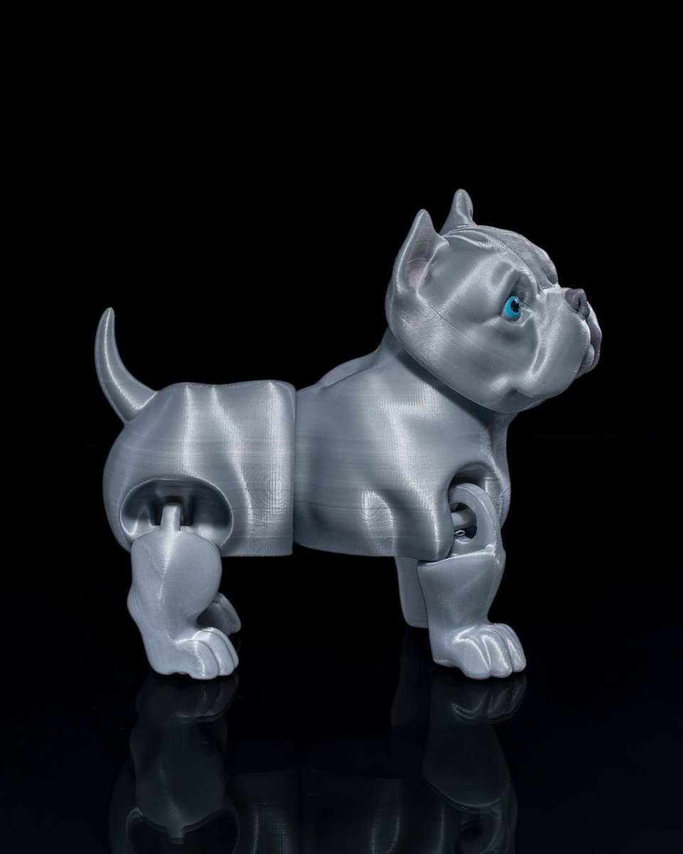 American Bully Dog - The Phynagrin Show