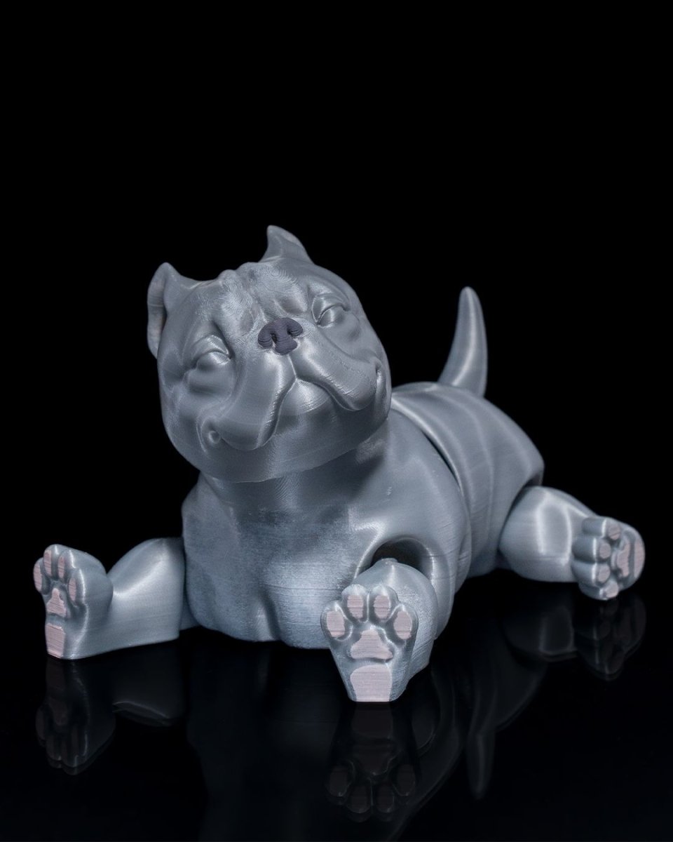 American Bully Dog - The Phynagrin Show