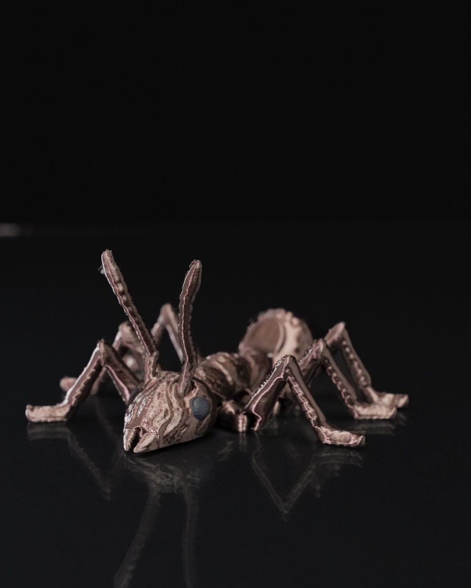 Ant - iculate - The Phynagrin Show