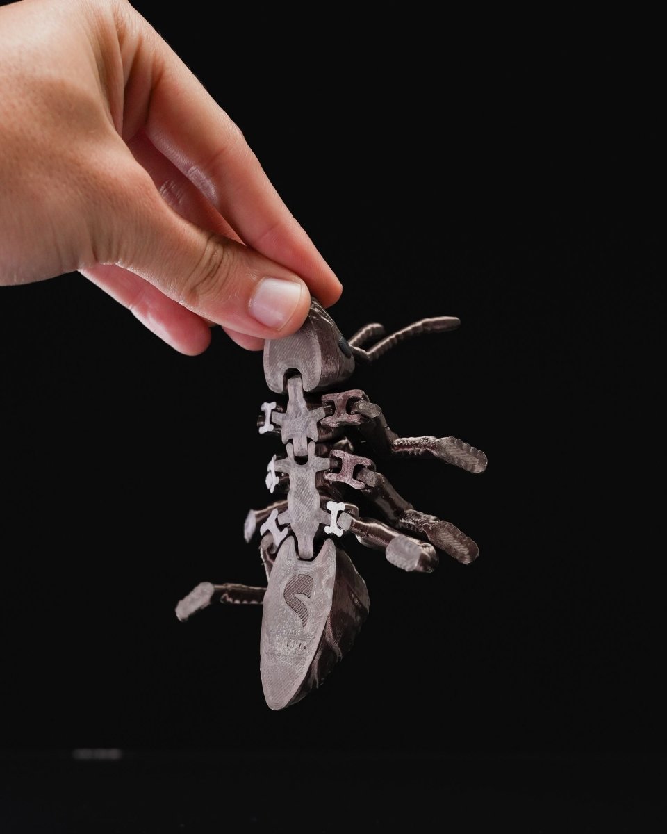 Ant - iculate - The Phynagrin Show