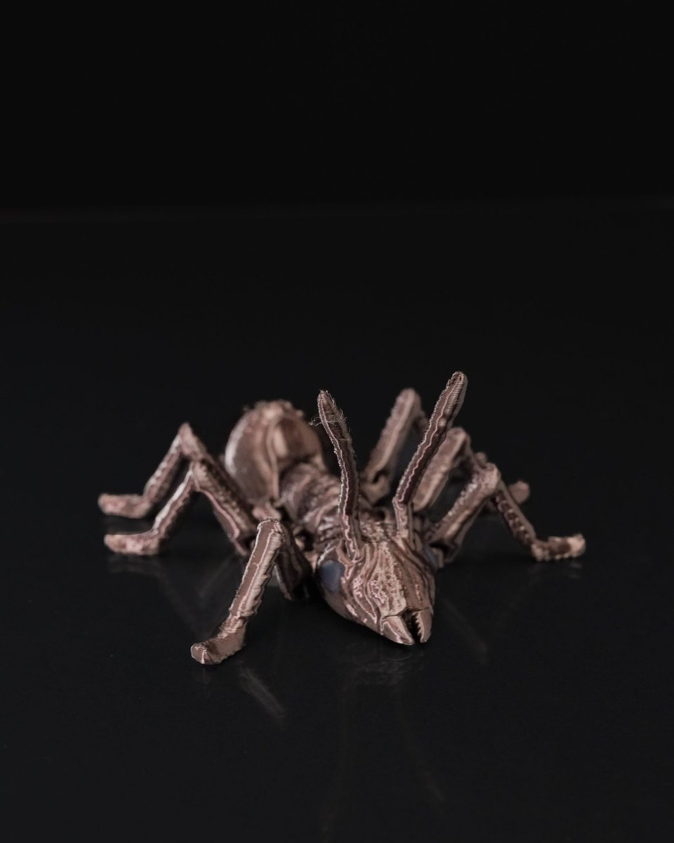 Ant - iculate - The Phynagrin Show