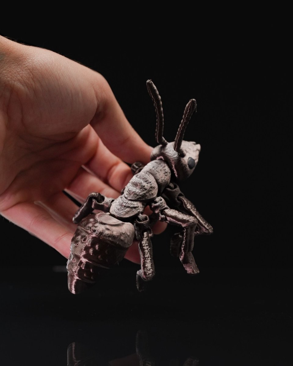 Ant - iculate - The Phynagrin Show