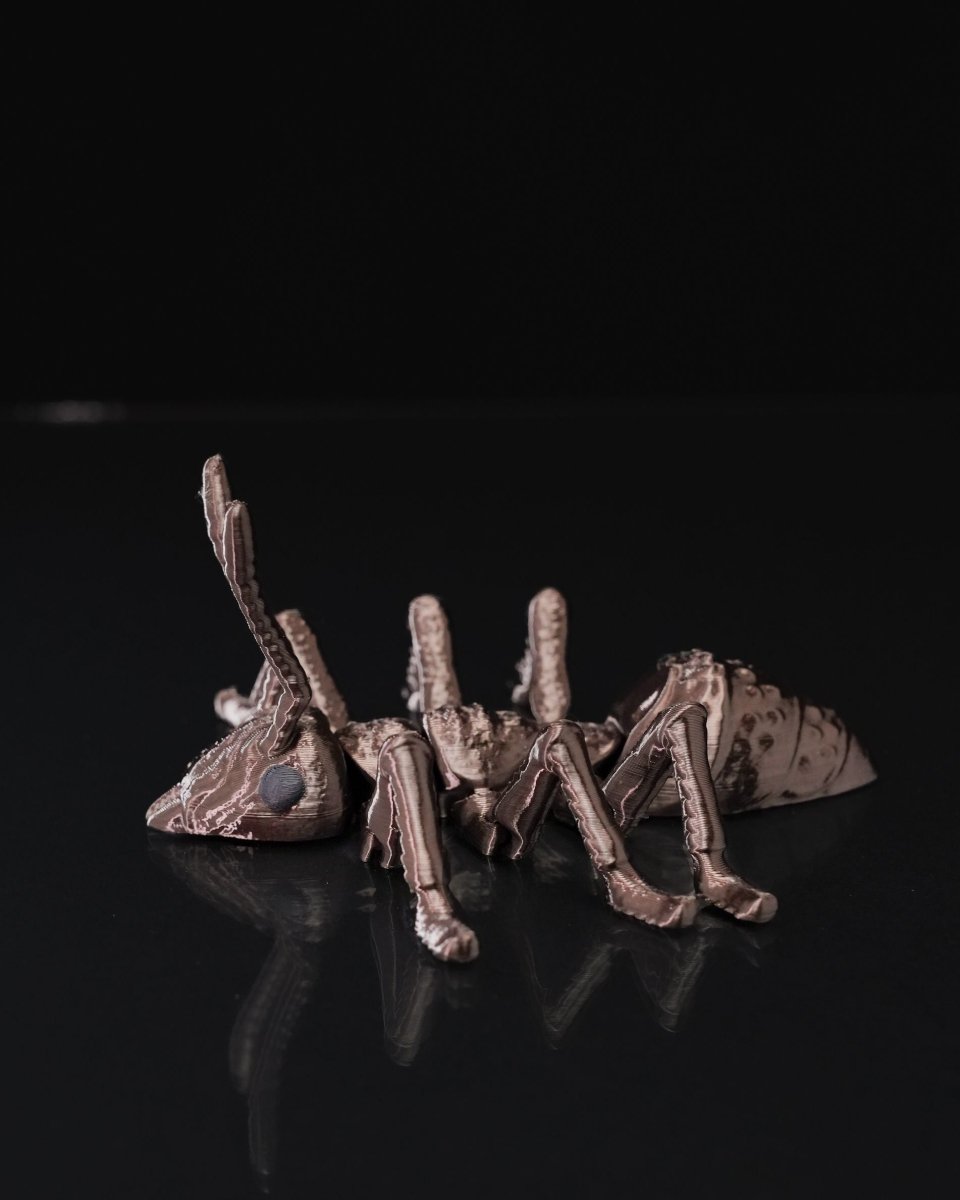 Ant - iculate - The Phynagrin Show