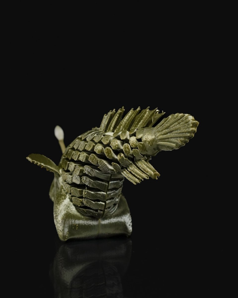 Articulated Angler Fish - The Phynagrin Show