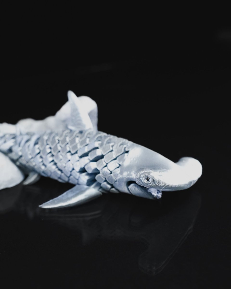 Articulated Hammerhead Shark - The Phynagrin Show
