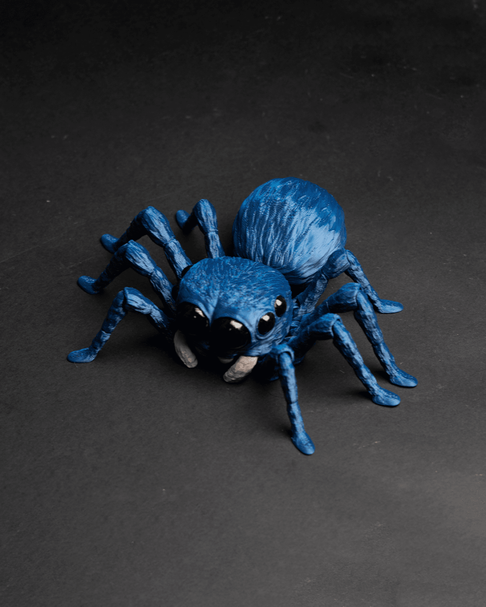 Articulated Itsy Bitsy Spider - The Phynagrin Show