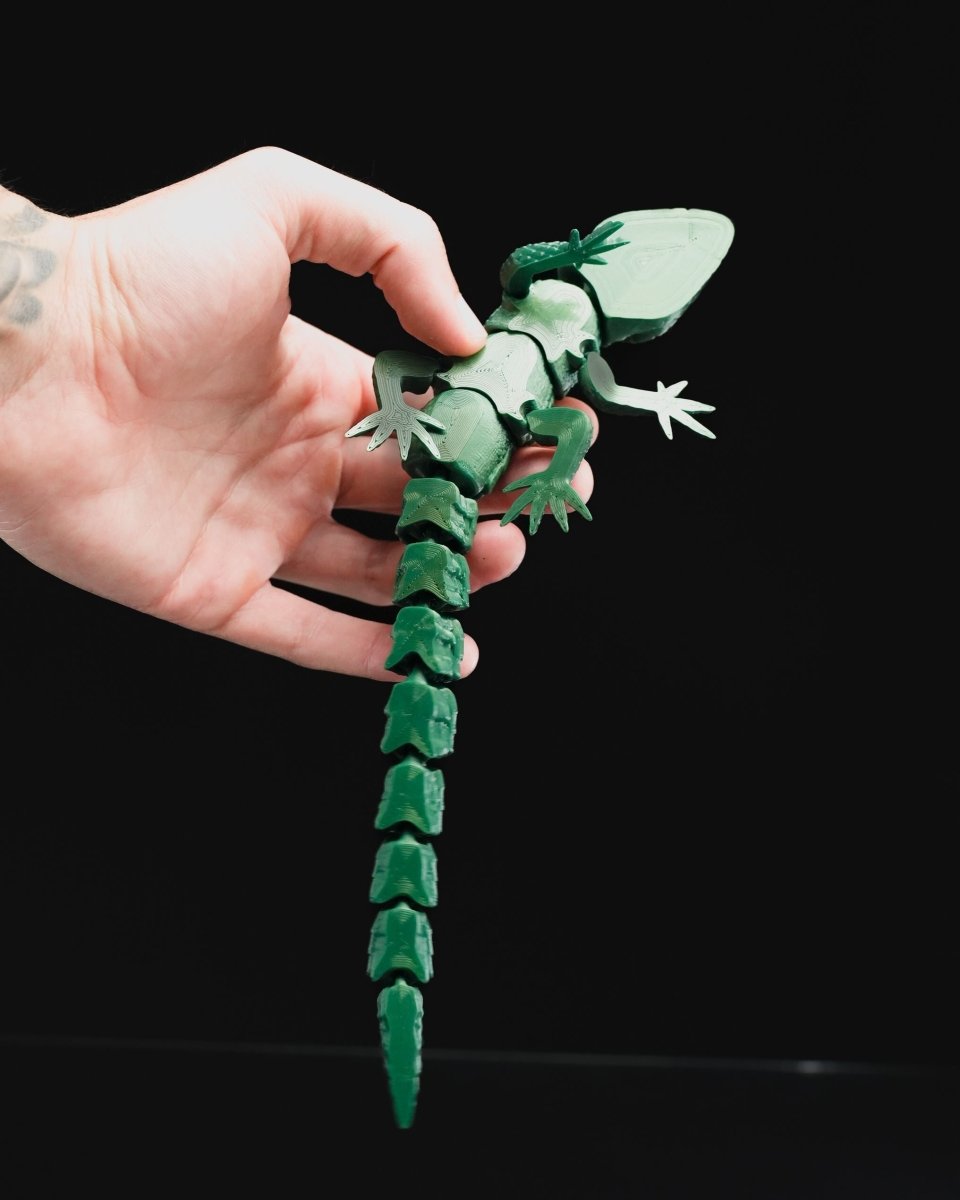 Articulated Lizard - The Phynagrin Show