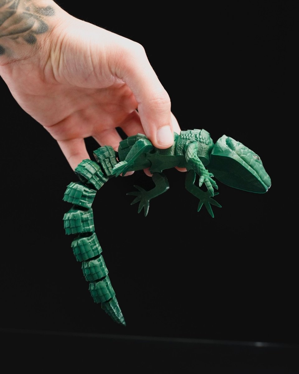 Articulated Lizard - The Phynagrin Show