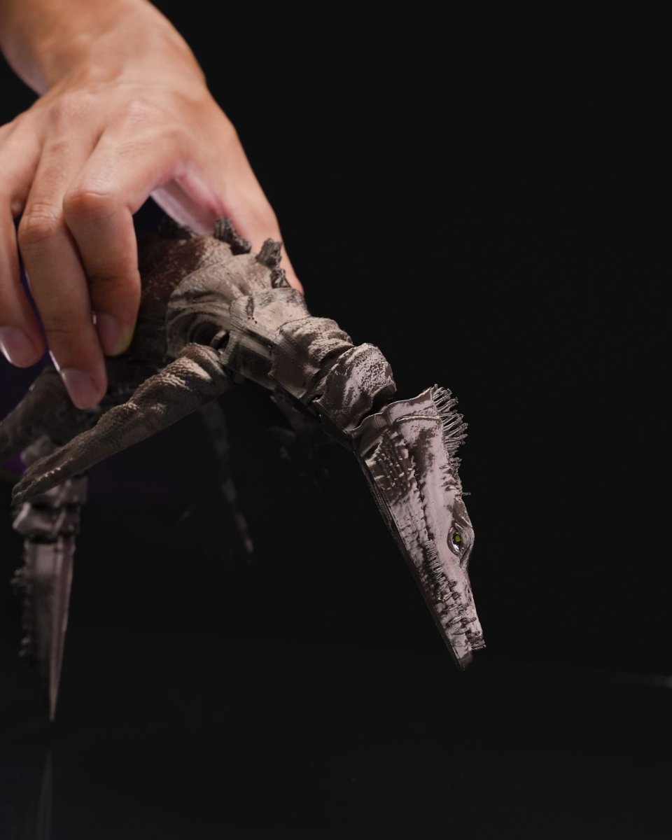Articulated Nothosaurus - The Phynagrin Show