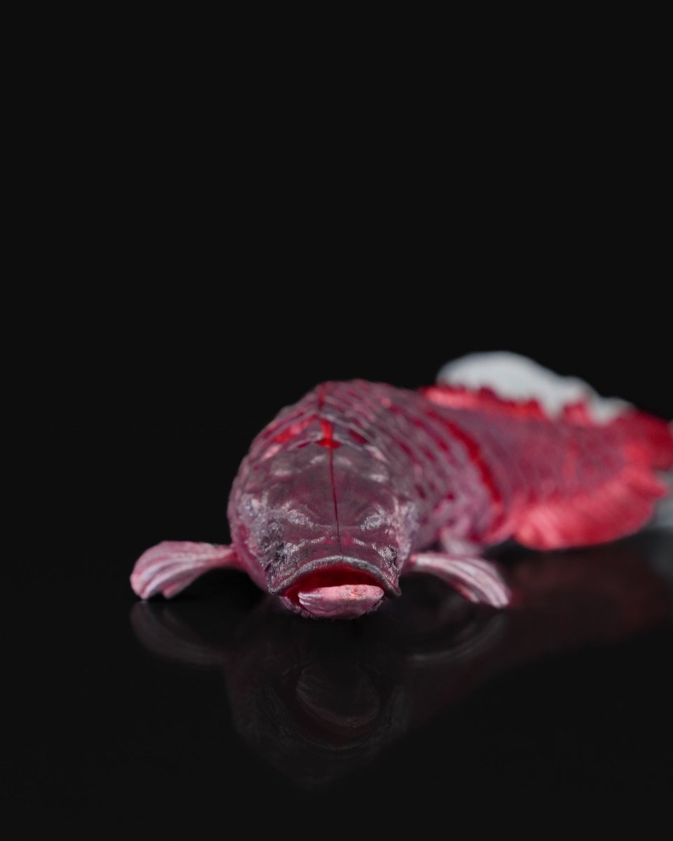Articulated Pirarucu - The Phynagrin Show