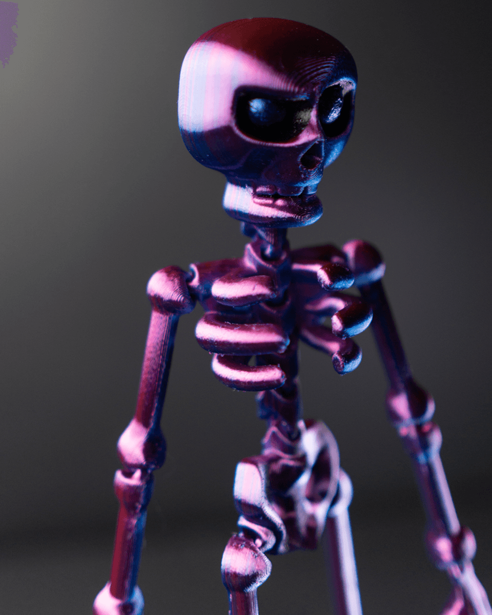 Articulated Skeleton - The Phynagrin Show