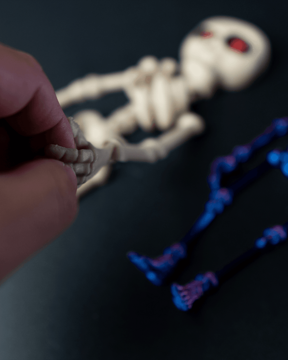 Articulated Skeleton - The Phynagrin Show