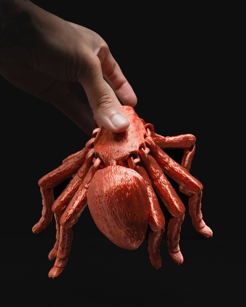 Articulated Tarantula - The Phynagrin Show