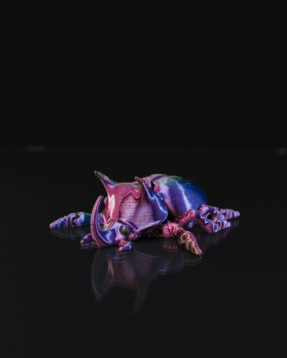 Articulated Unicorn Beetle - The Phynagrin Show