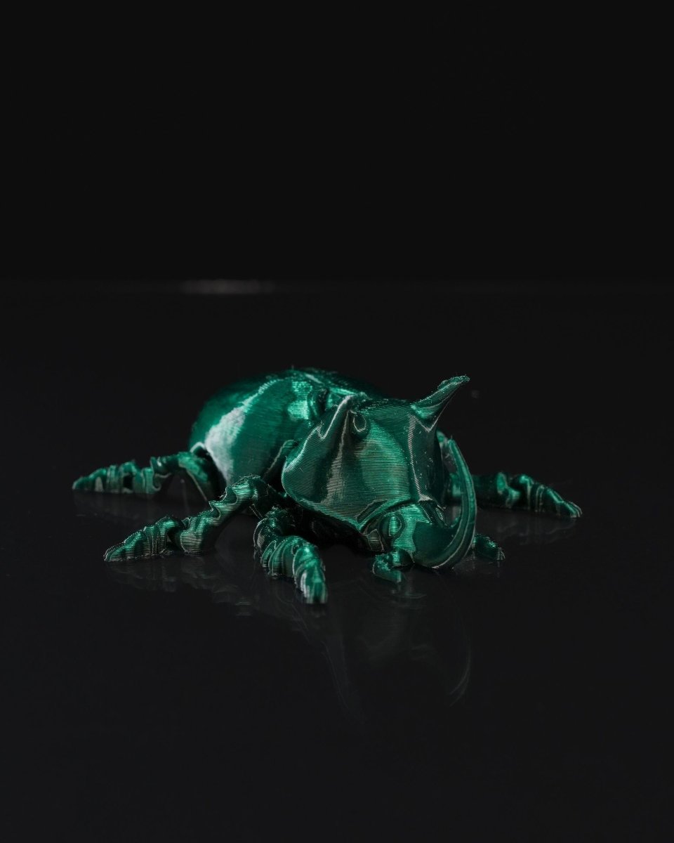 Articulated Unicorn Beetle - The Phynagrin Show