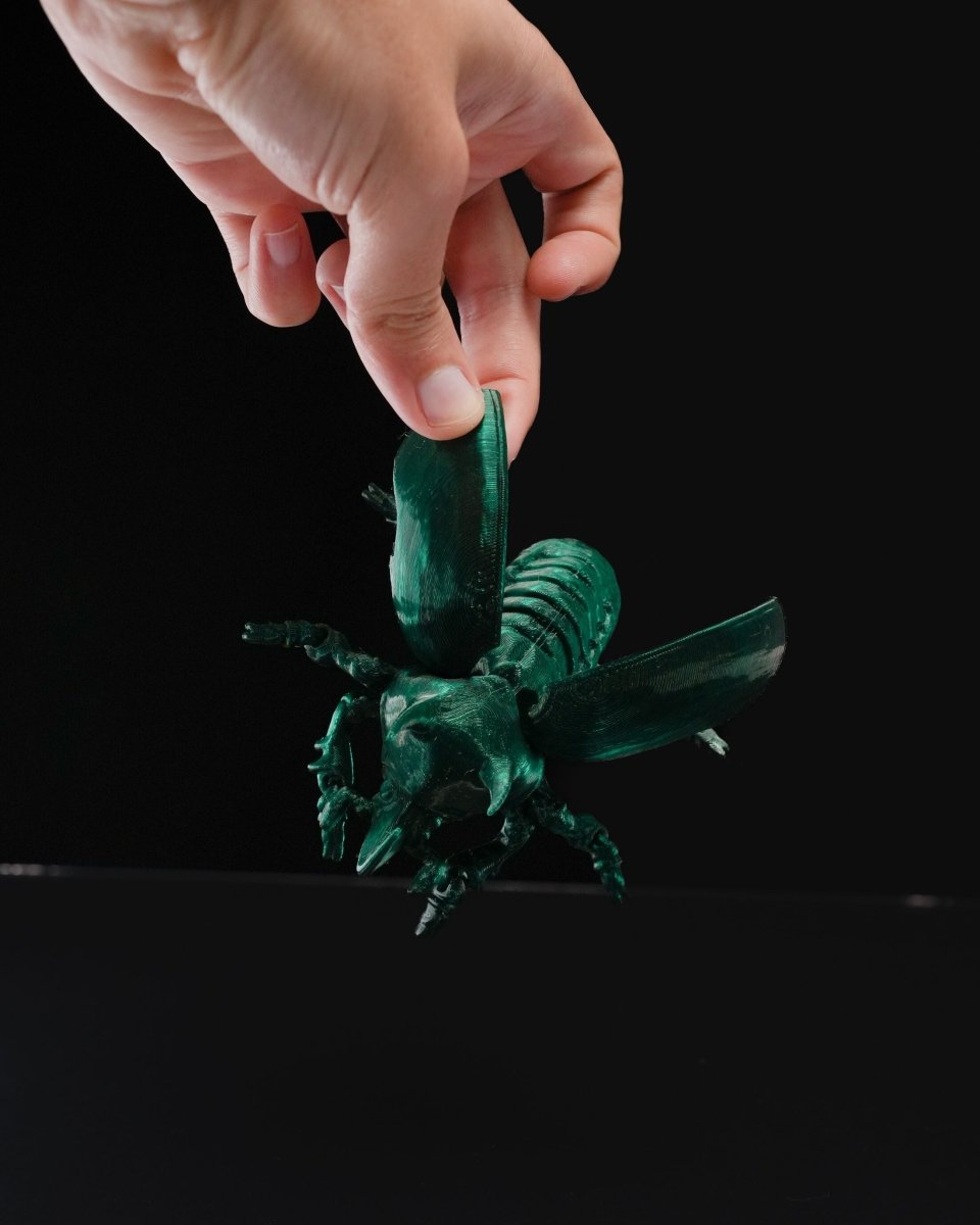 Articulated Unicorn Beetle - The Phynagrin Show