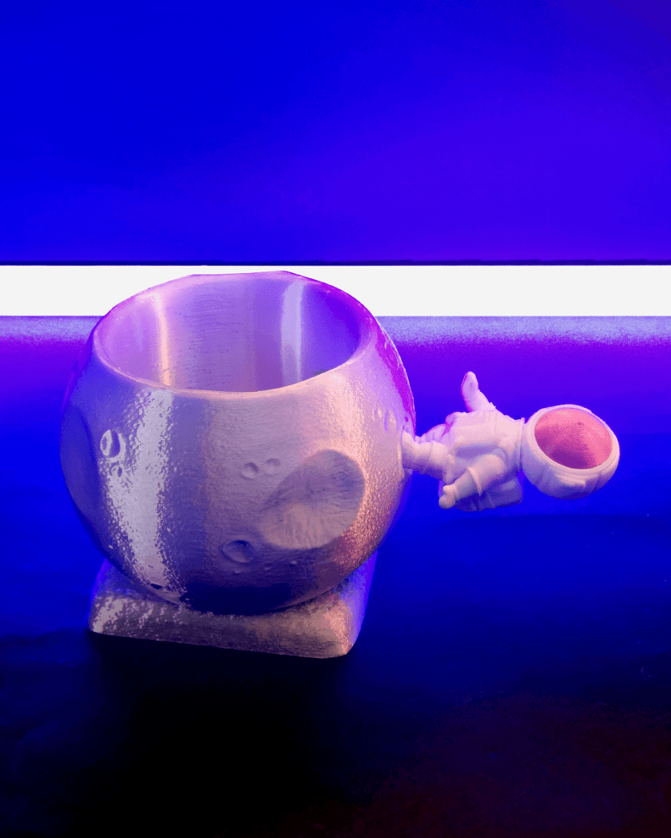 Astronaut Bowl - The Phynagrin Show