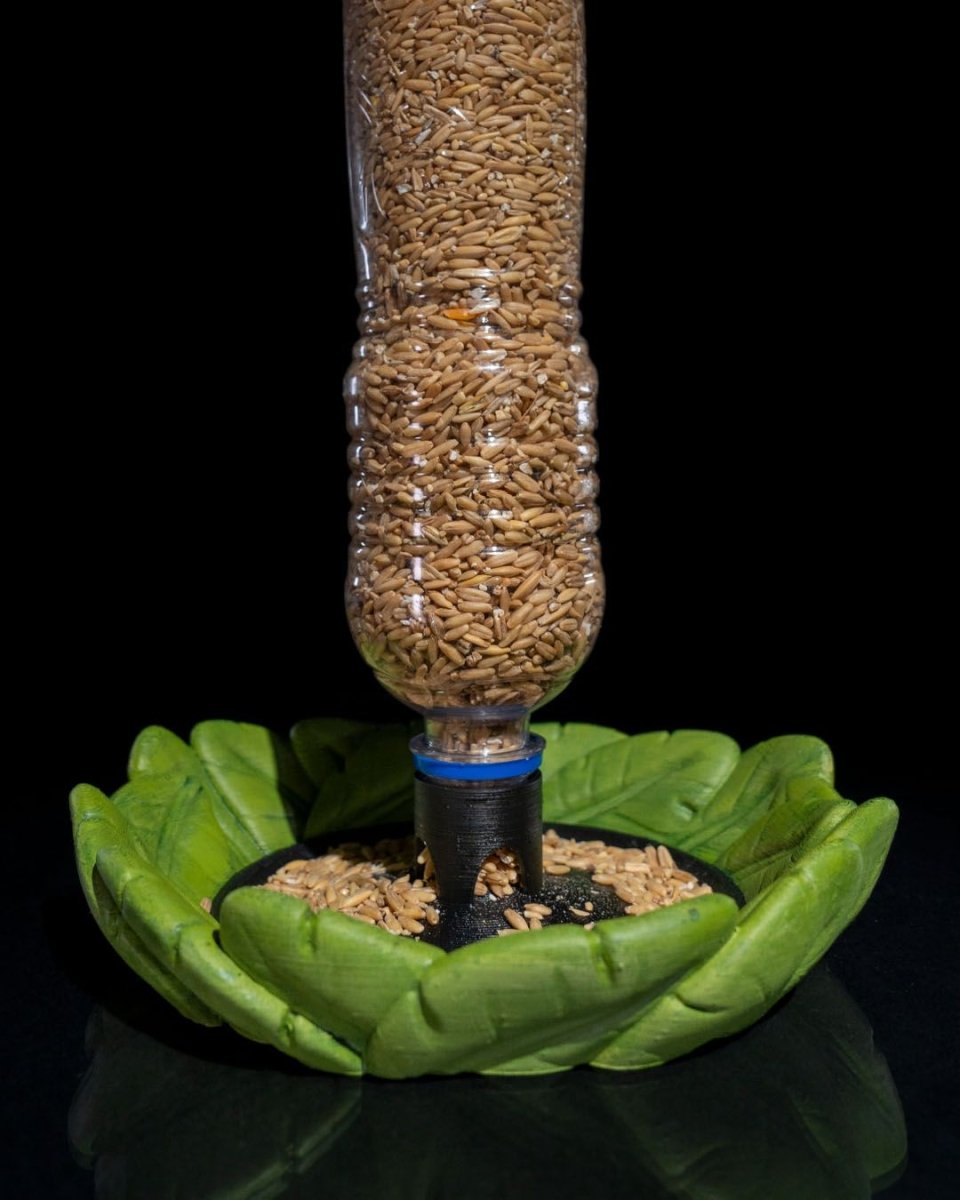 Bird Feeder in Disguise - The Phynagrin Show