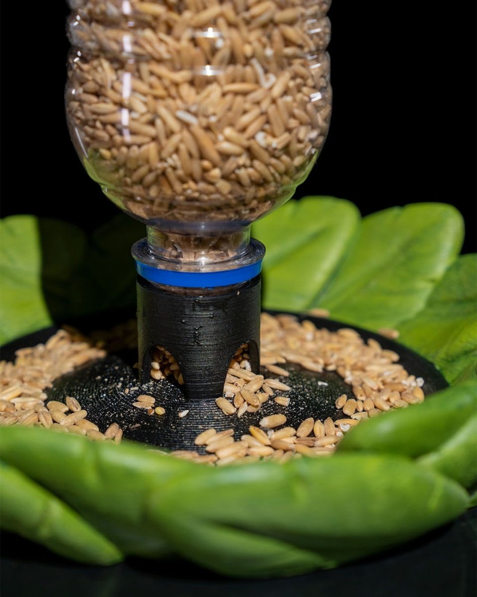 Bird Feeder in Disguise - The Phynagrin Show