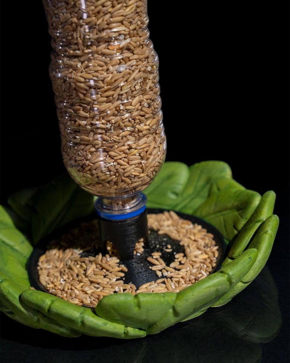 Bird Feeder in Disguise - The Phynagrin Show