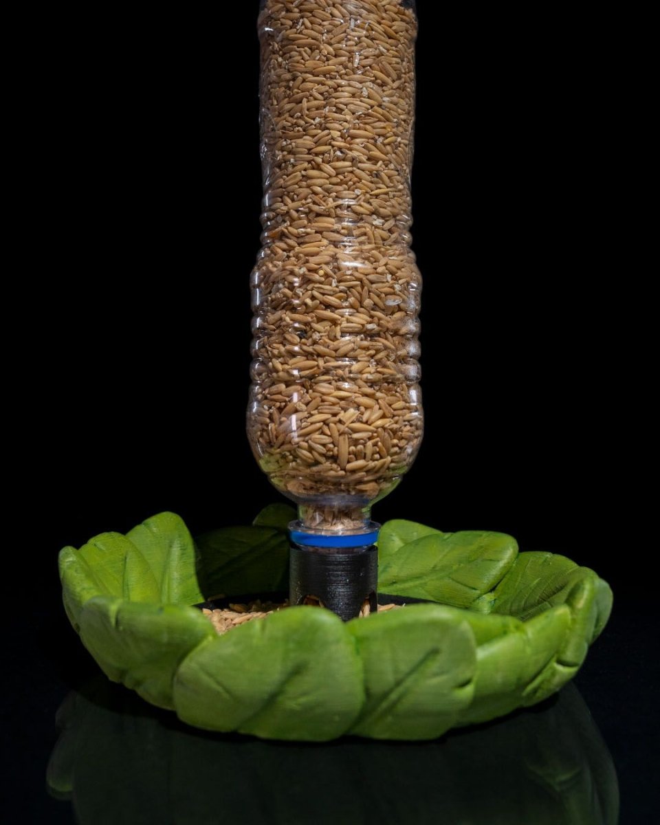 Bird Feeder in Disguise - The Phynagrin Show