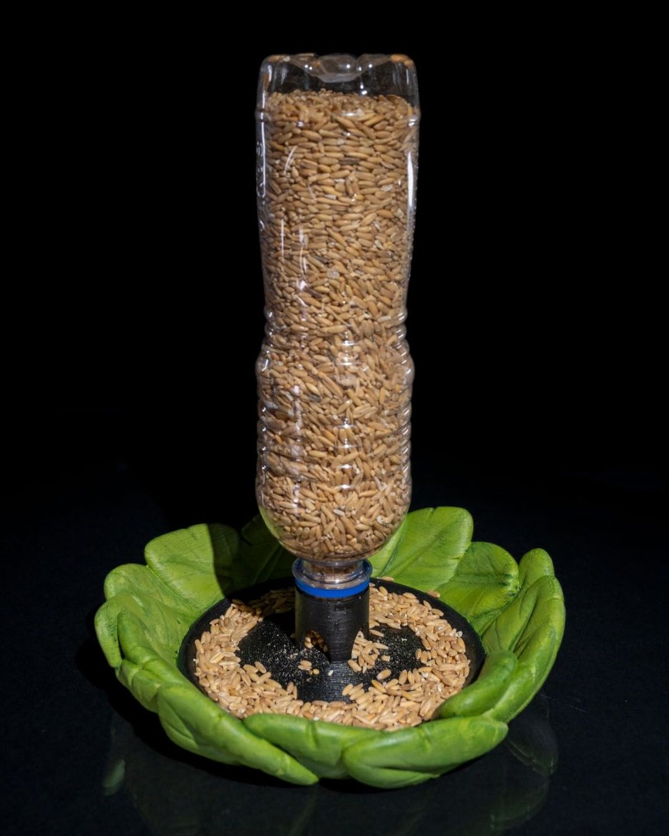 Bird Feeder in Disguise - The Phynagrin Show