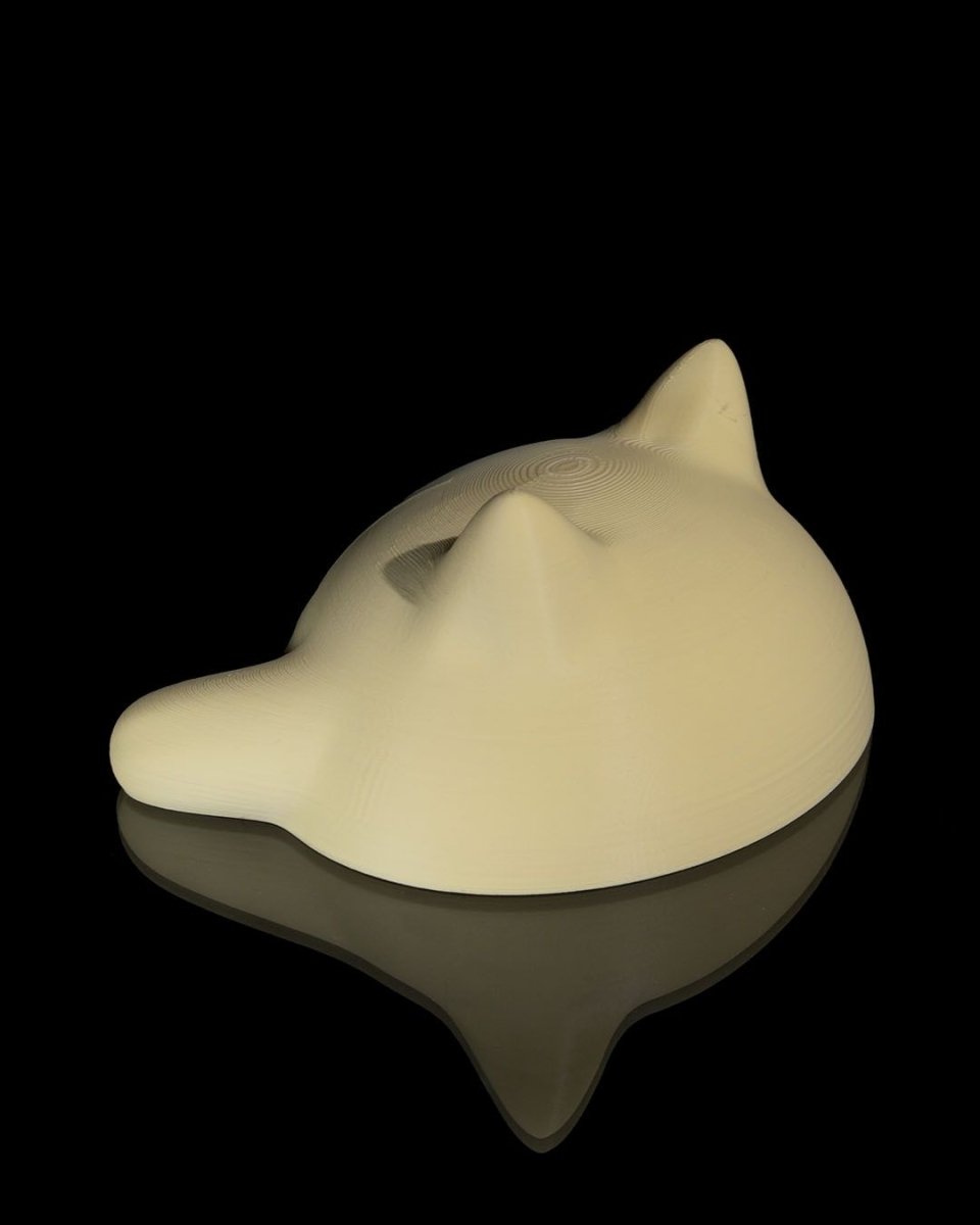 Blob Cat - The Phynagrin Show