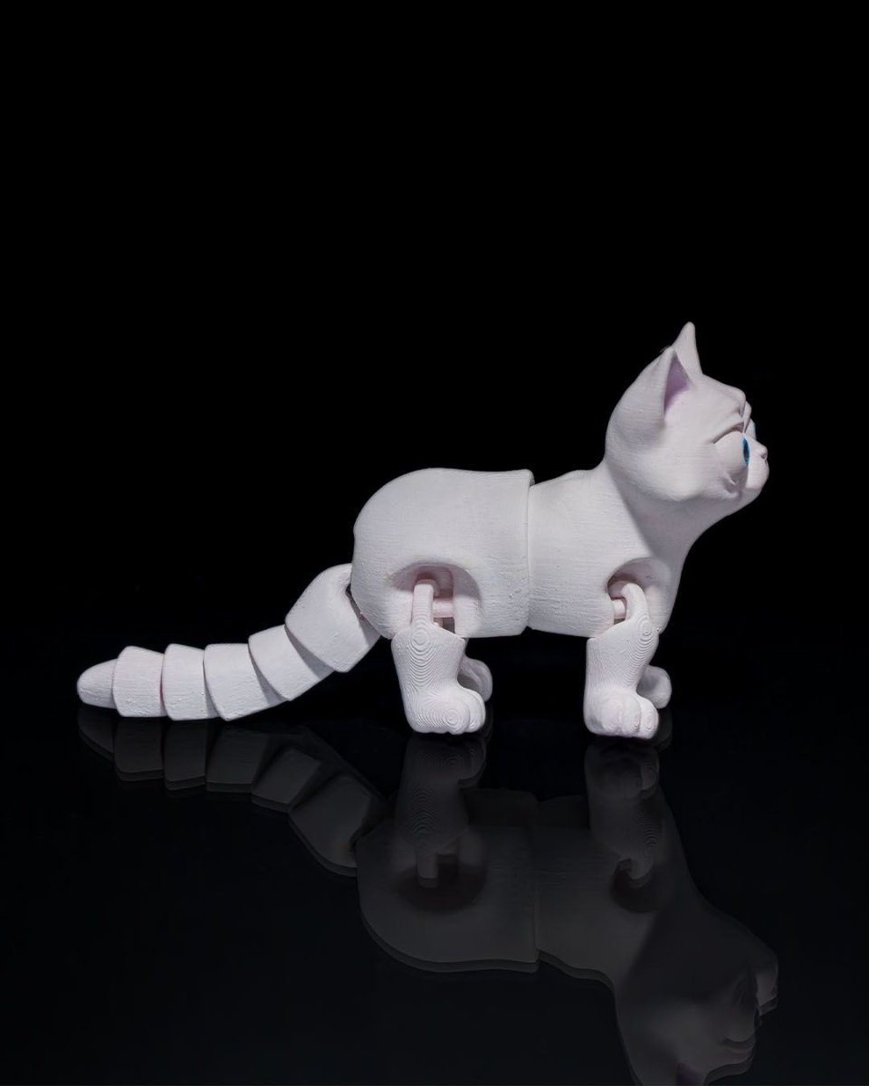 Busya The Cat - The Phynagrin Show