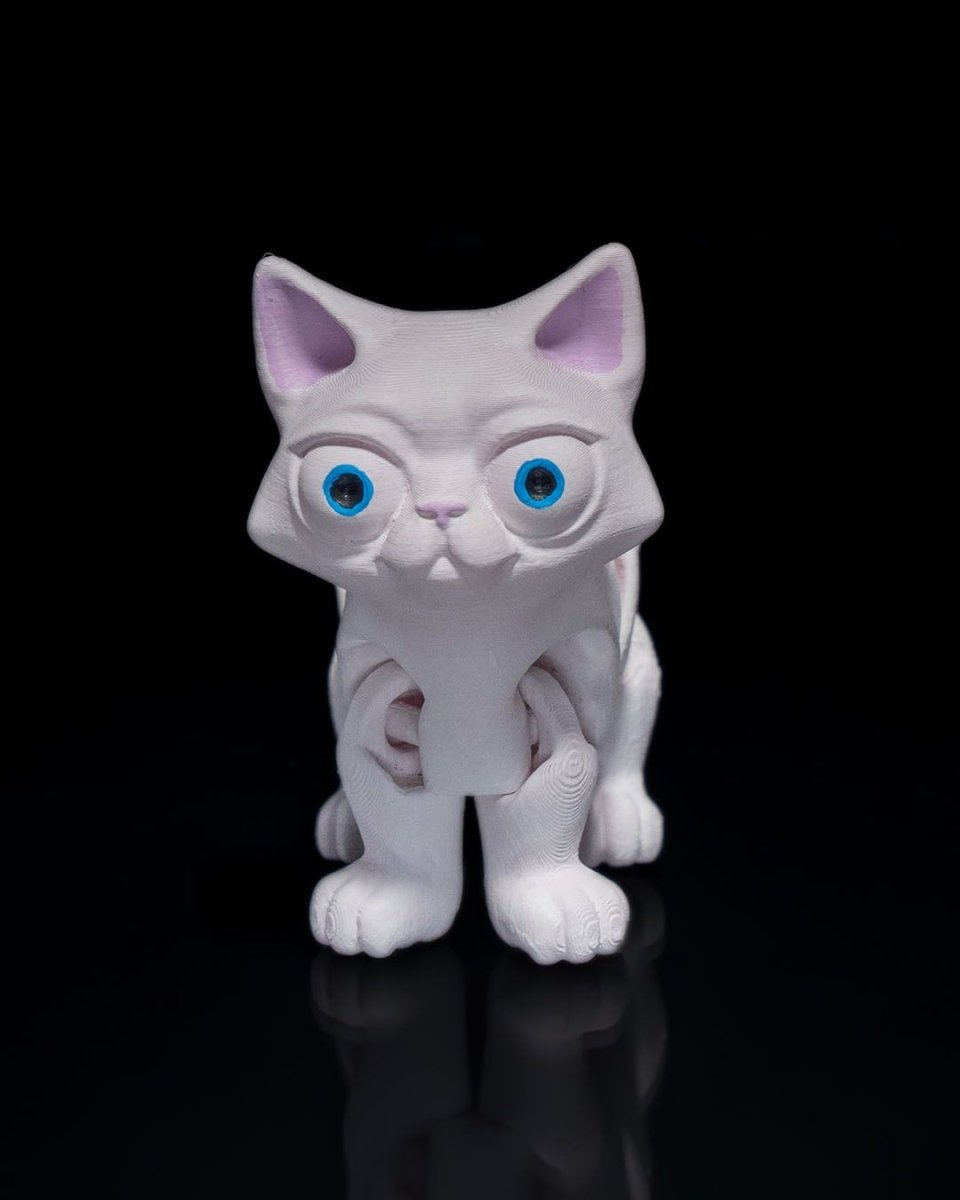 Busya The Cat - The Phynagrin Show