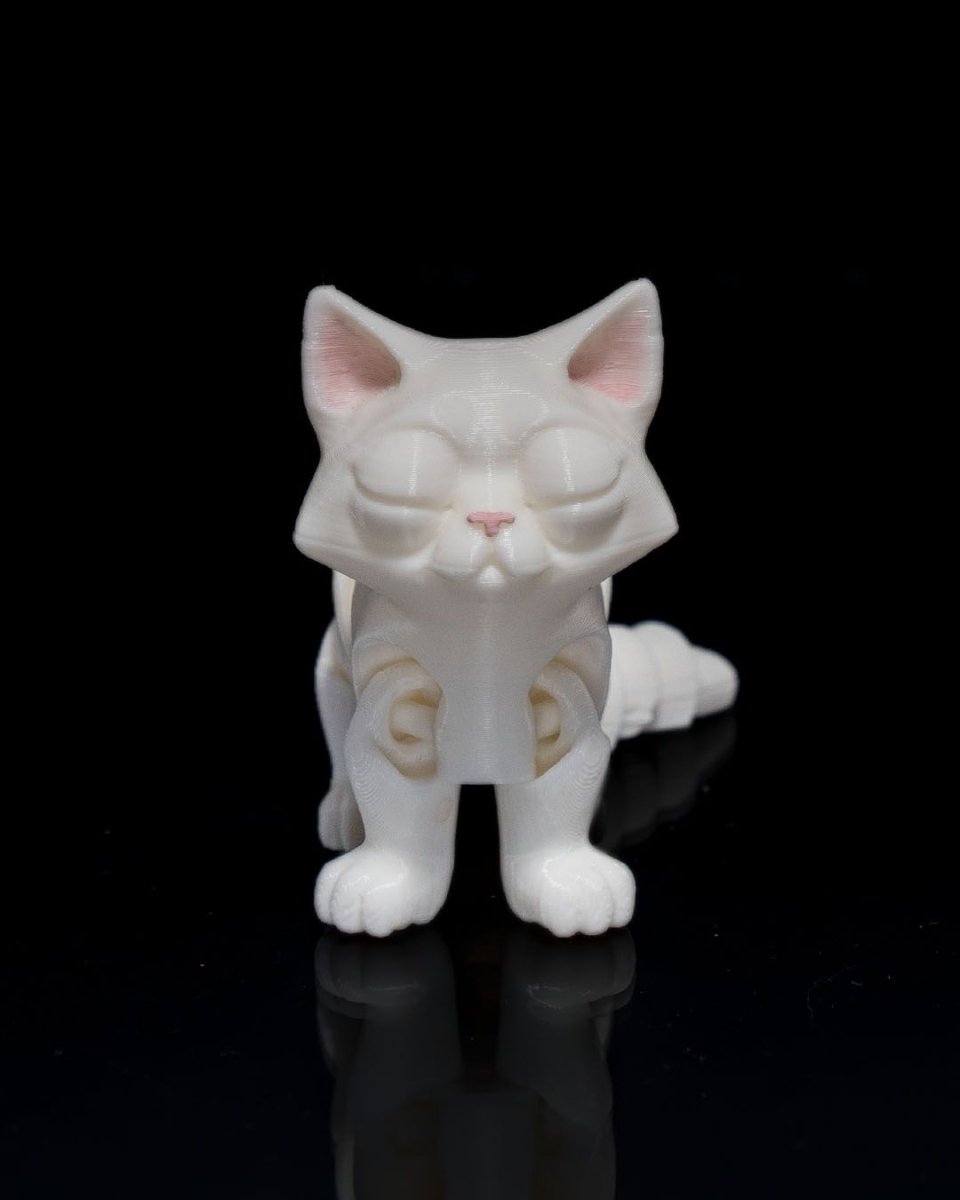 Busya The Cat - The Phynagrin Show