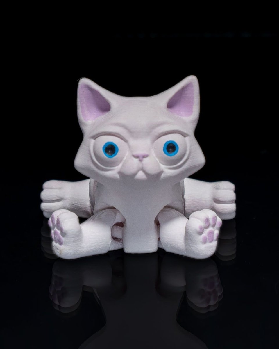 Busya The Cat - The Phynagrin Show