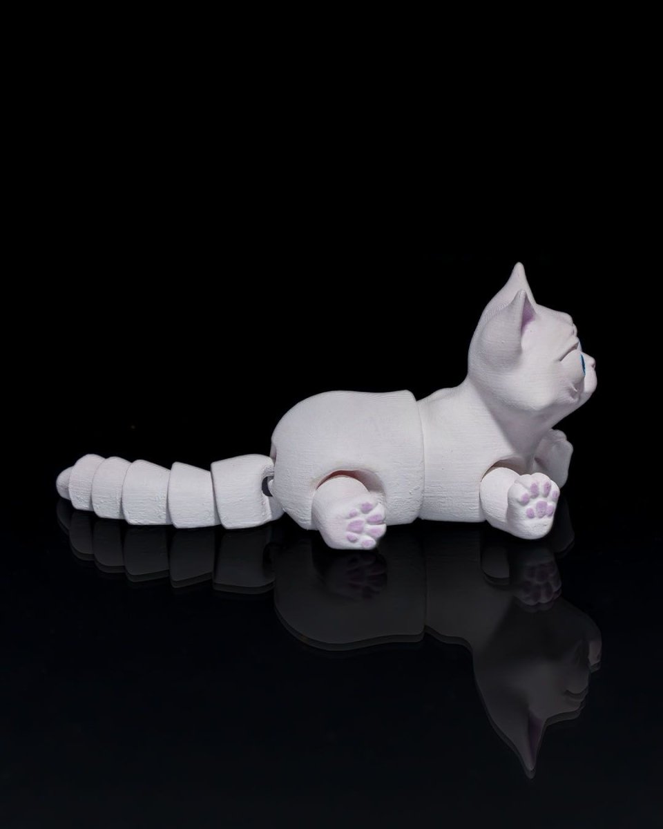 Busya The Cat - The Phynagrin Show