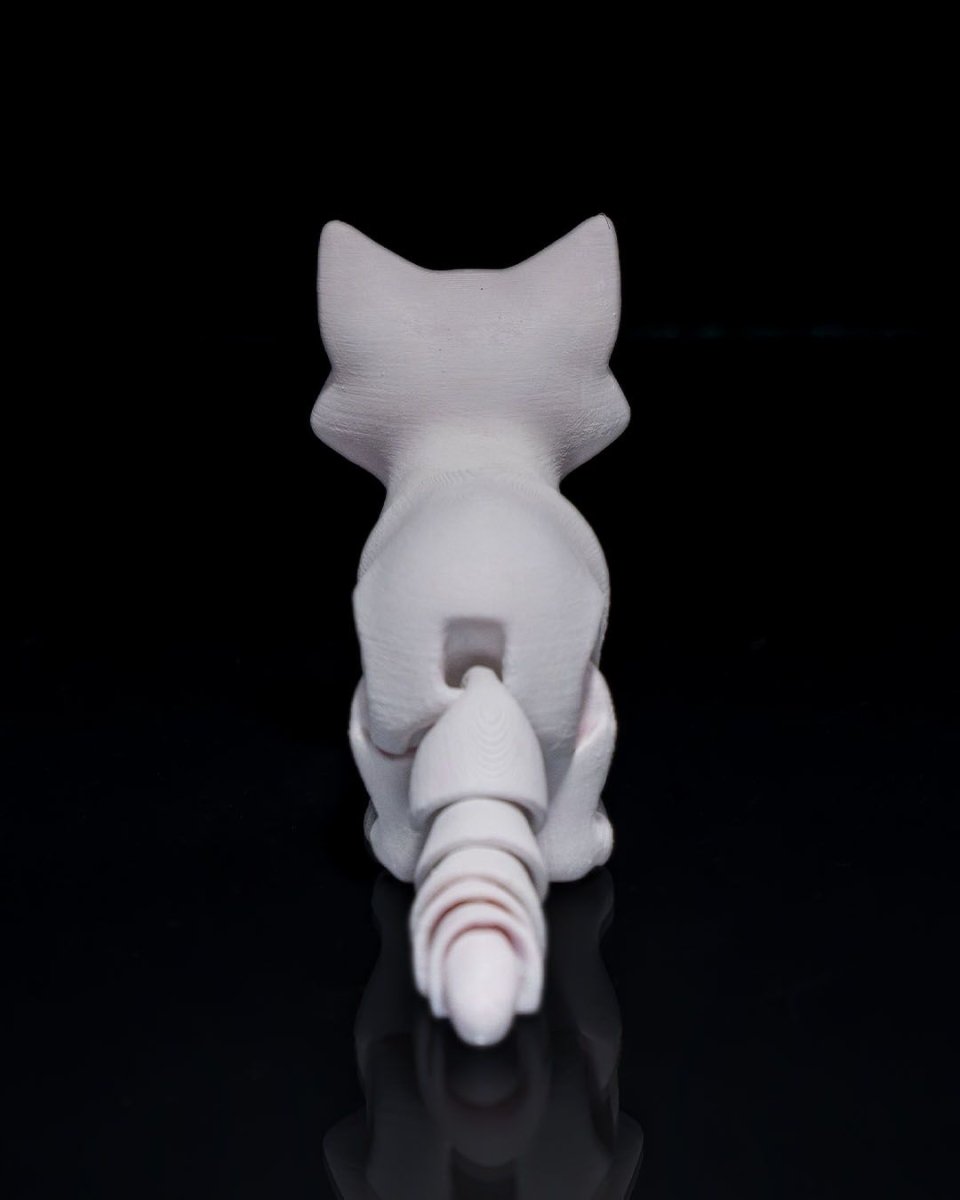 Busya The Cat - The Phynagrin Show