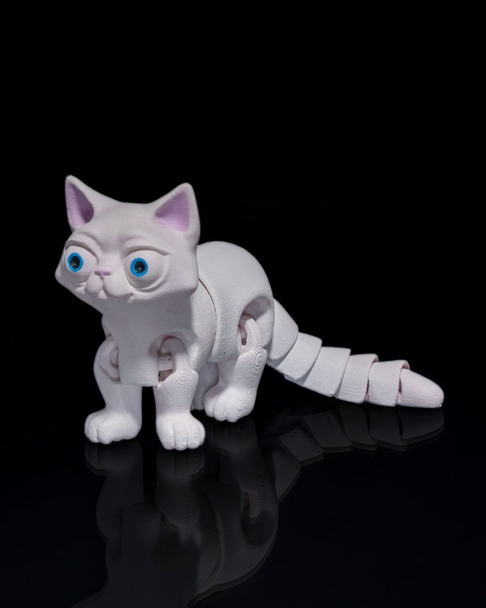 Busya The Cat - The Phynagrin Show