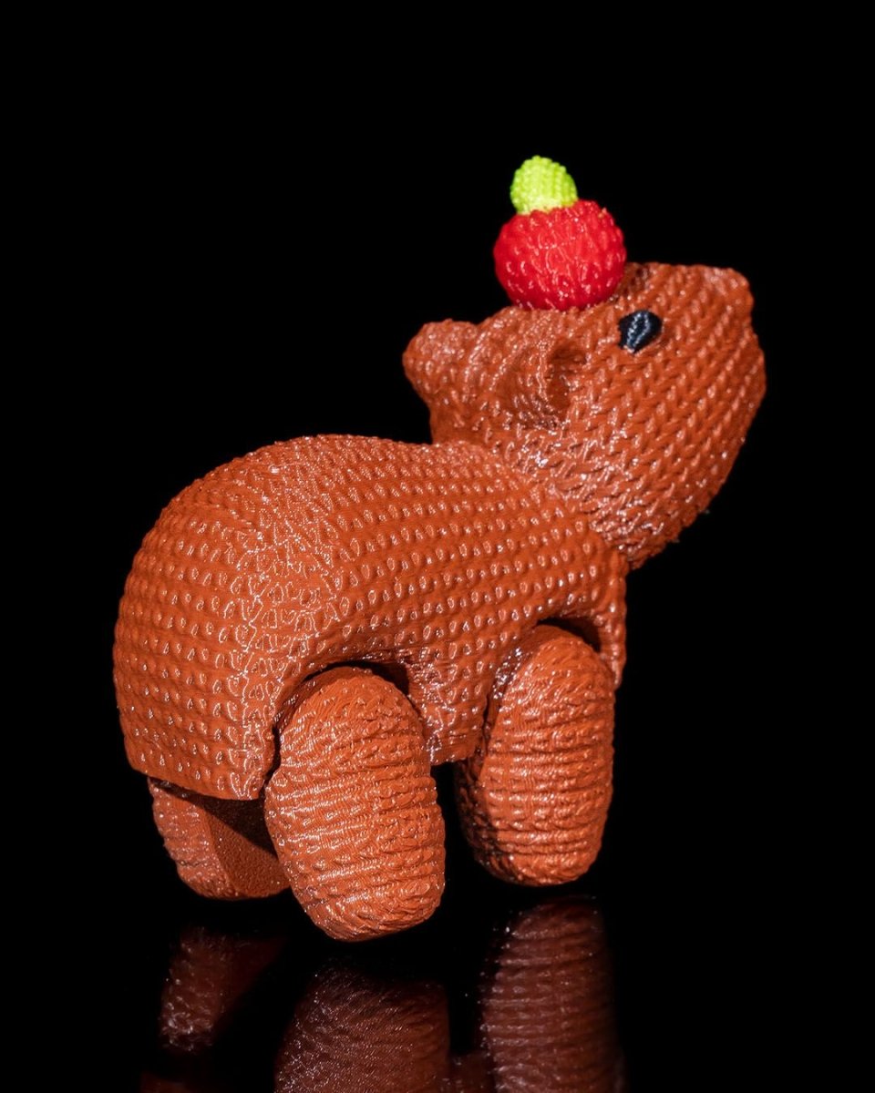 Capy Crochet - The Phynagrin Show