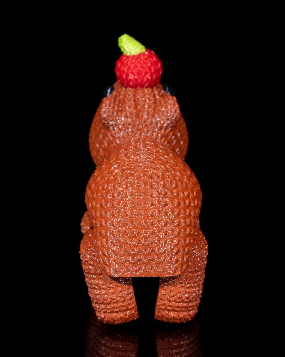 Capy Crochet - The Phynagrin Show