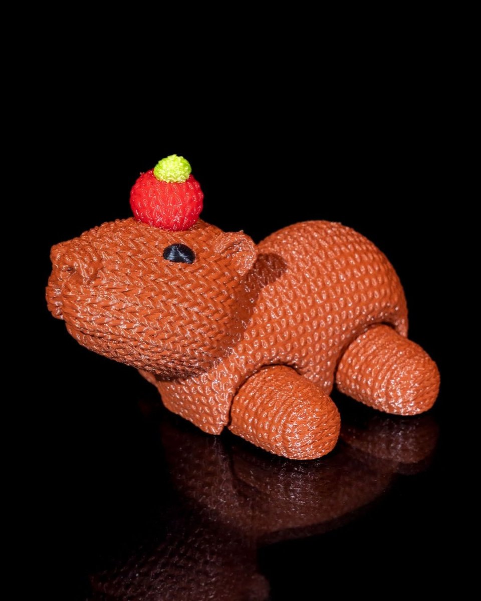 Capy Crochet - The Phynagrin Show