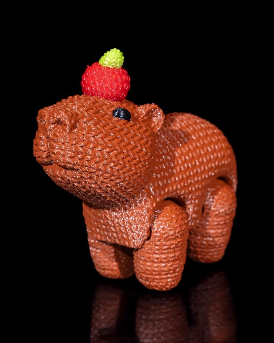 Capy Crochet - The Phynagrin Show