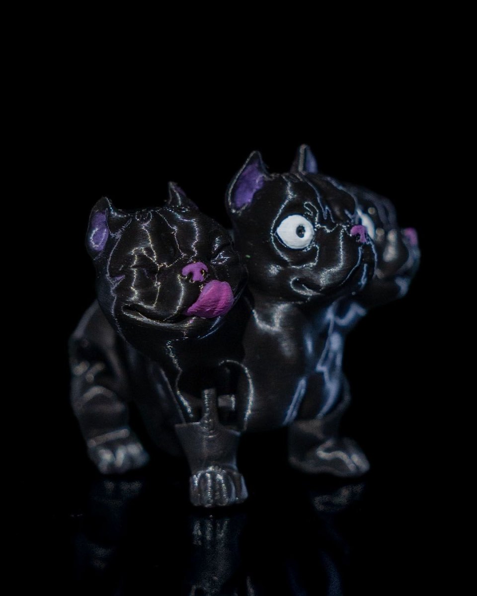 Cerberus Dog - The Phynagrin Show