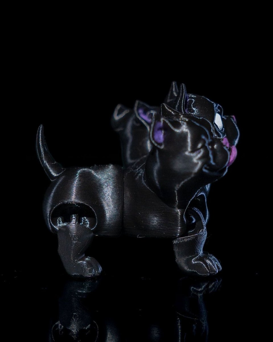 Cerberus Dog - The Phynagrin Show