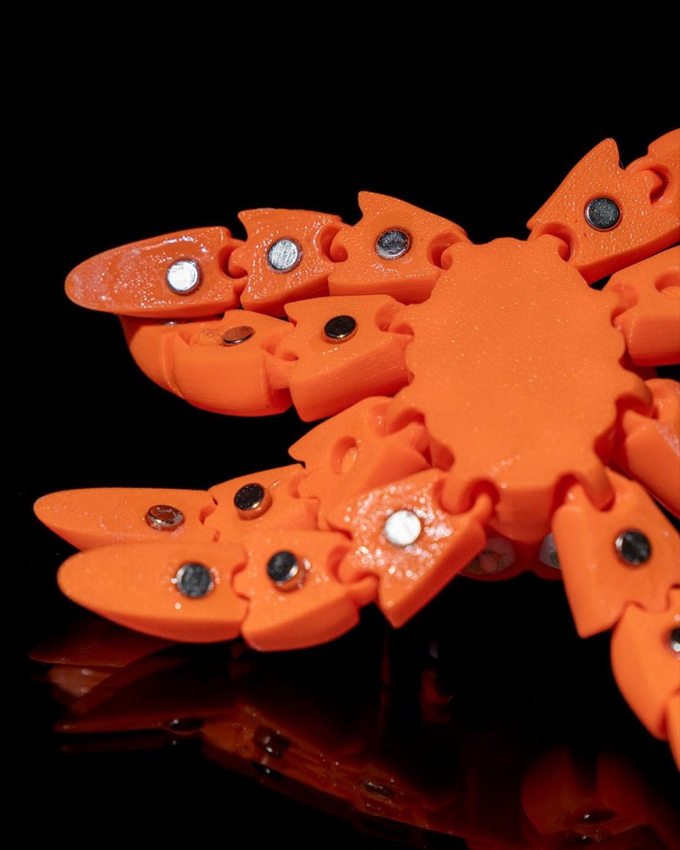 Clingy Octopus - The Phynagrin Show